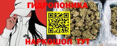 mdma Заволжье